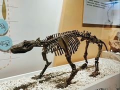 -国家自然博物馆