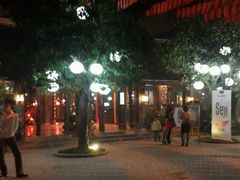 -河内西湖莲花自助餐厅