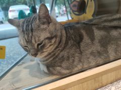 -有才叔的小馆(招商依云曲江店)