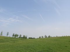 -合肥滨湖国家森林公园