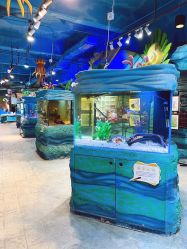 -酷嗒动物文化乐园(cutezoo西溪乐天城店)