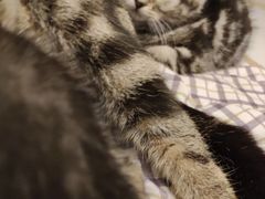 -搓火大都会(广安门总店)