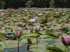 -迪茵湖田家舍生态农场