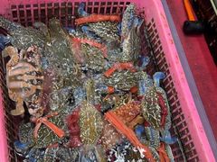 -众味海鲜大排档·活海鲜·潮汕味(南澳店)