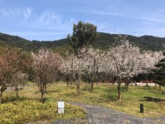 -兰亭风景区