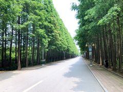-日照海滨国家森林公园