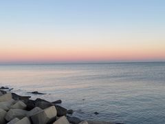 -悦海·家宴·冰花皮皮虾大锅贴(宝龙店)
