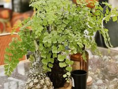 -PlantsEatery·植物食堂(REX春熙店)