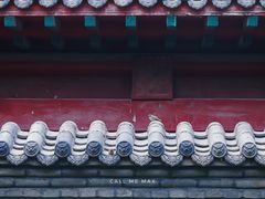 -护国法轮寺