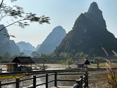 -明仕田园