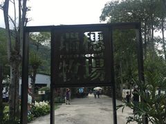 -瑞穗牧场