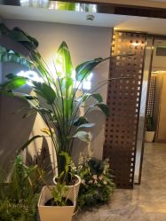 -Girmainy SPA杰美妮