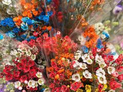 -循礼门鲜花花市(武汉循礼门店)