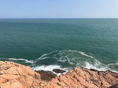 -广东惠东海龟国家级自然保护区