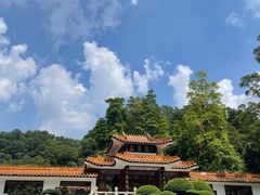 -深圳仙湖植物园