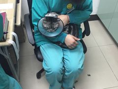 -康乐宝动物医院