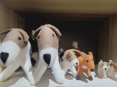 -晓风书屋(大学路店)