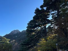 -黄山风景区