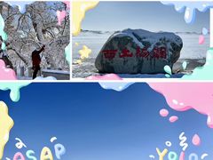 -敦煌莫高窟