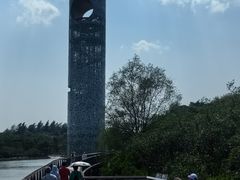 -东寨港红树林旅游区