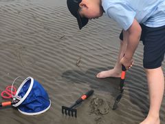 -奉贤海滩
