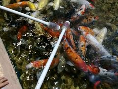 -苏州海洋馆