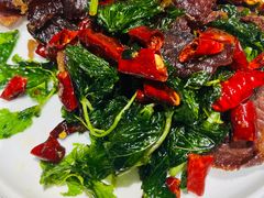 -七采菌园·石锅鱼野生菌火锅(环城北路店)