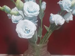 -都氏家DUSJOY(翡翠城店)