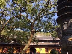 -普陀山风景名胜区-法雨禅寺