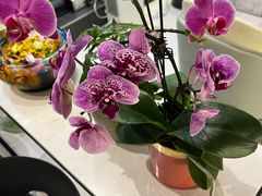 -有鱼吃·纸包烤鱼(曲江创意谷店)