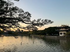 -江心屿景区