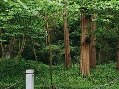 -虎跑公园