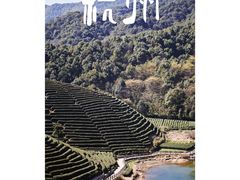 -龙坞茶村