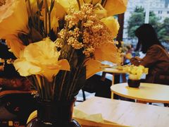 -251#coffee roasters(沿河东路店)