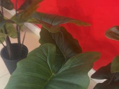 -芦月轩羊蝎子(太平桥店)