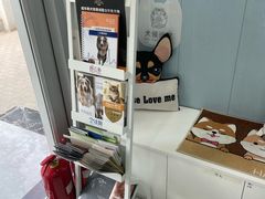 -纳吉亚猫专科动物诊疗中心(蒋宅口分院)