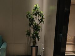 -东方威尼斯温泉酒店