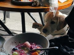 -O'mills Sourdough Bakery&Bistro(永嘉路店)