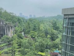 -贵阳中天凯悦酒店