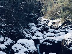 -龙苍沟森林公园