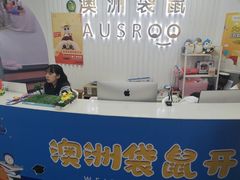 -澳洲袋鼠早教(南二环店)