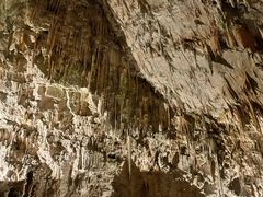 -波斯托伊纳溶洞