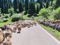 -新疆那拉提国家旅游度假区