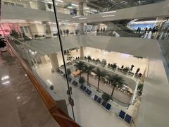 -中国人民解放军总医院