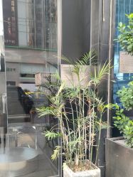 -不迫先生专业男士剪发