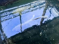 -蓝湾碧波·老字号·疍家非遗海上餐厅