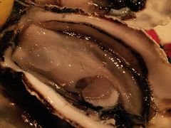 -斯普汇生蚝牛排馆(中骏世界城店)