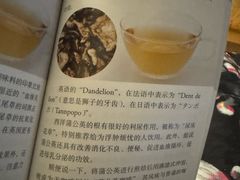 -滚猫咖啡·猫咖·猫友好撸猫(未来城店)