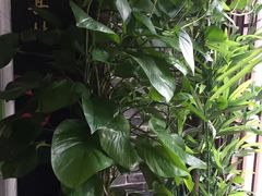 -旭川 SPA·按摩·足道(大木桥路店)