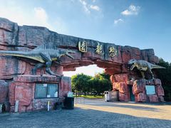 -上海海湾国家森林公园